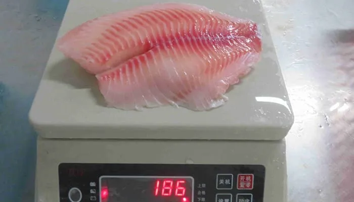 pin bone out (pbo) frozen tilapia fillets